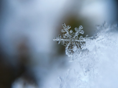 Will Your Heat Pump Work Below Freezing? | Advantage Heating & Air Conditioning, LLC